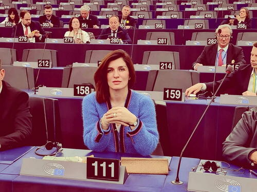 Ćudić zahtijevala izvještaj Vijeća Evrope o Srbiji, u sali nastao haos