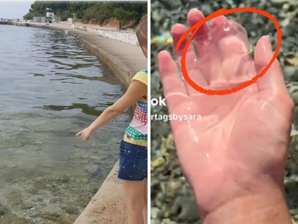 Čudna stvorenja preplavila jadran: "Ljudi imaju osjećaj da plivaju u želatini"