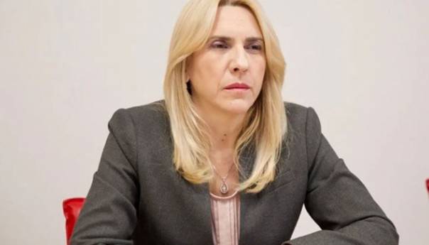 Cvijanović: CIK najobičniji cirkus, oformiti kredibilnu instituciju