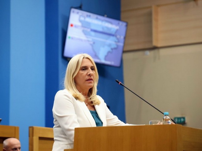 Cvijanović: Dovijamo se, zakone donesemo, pa povučemo po potrebi