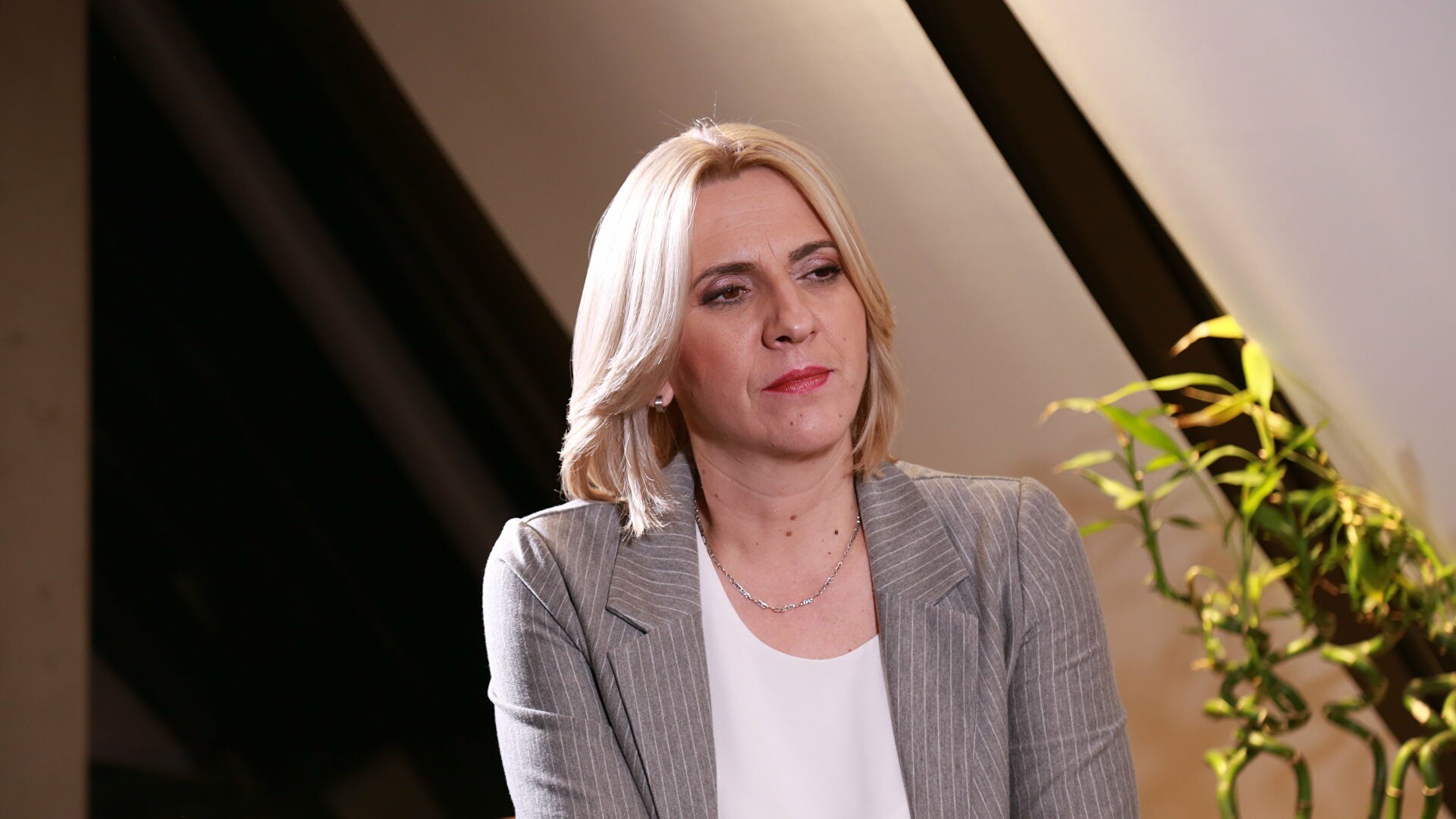 Cvijanović: Dupli aršini međunarodnog faktora