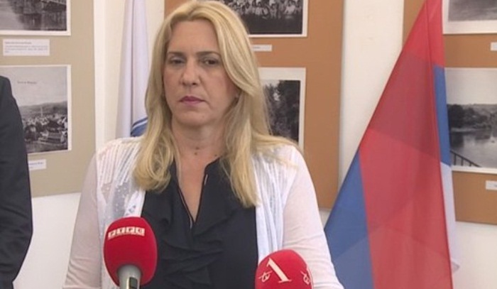 Cvijanović: FBiH ljubomorna na odnose RS sa Srbijom