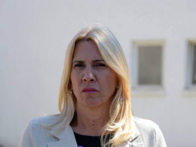 Cvijanović: Formiranje Vijeća ministara će potrajati