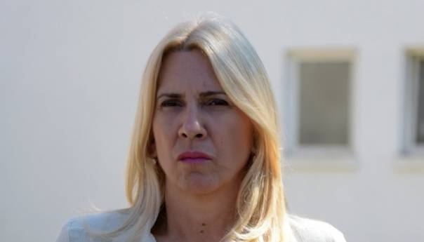 Cvijanović: Formiranje Vijeća ministara će potrajati