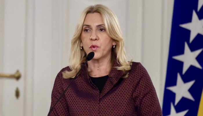 Cvijanović: Imenovanje Krišto velika šansa da se dođe do Vijeća ministara