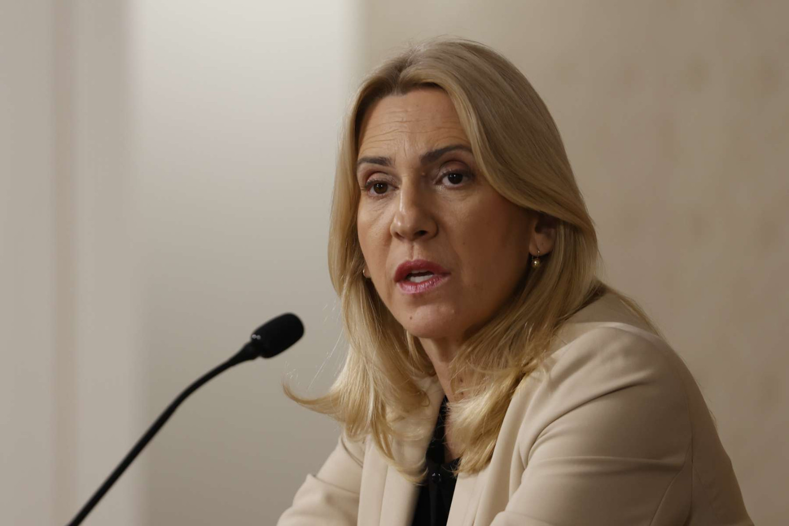 Cvijanović: Odluka CIK-a politička, ne daju SNSD-u četvrtog delegata