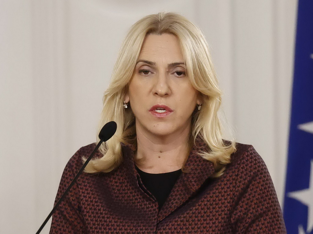 Cvijanović: Parlament RS će stati u zaštitu ambasadora Vujića