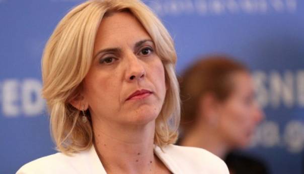 Cvijanović: Raditi na očuvanju evropskih načela slobode i demokratije