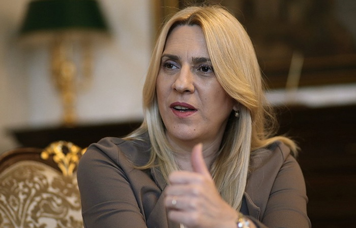 Cvijanović: RS ne može primati migrante