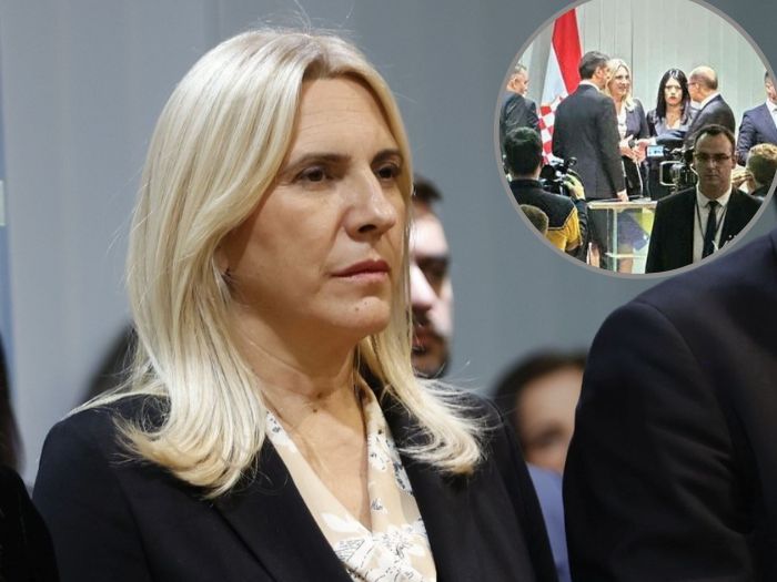 Cvijanović: Schmidt iskoristio priliku da se slika sa mnom