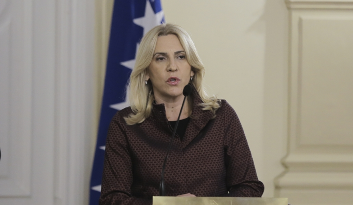 Cvijanović: Stav Turske je da BiH ne treba da dozvoli ikome miješanje