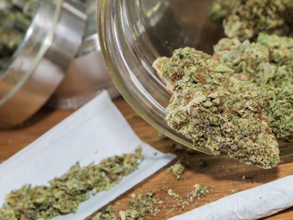 Dačić: Pronađeno oko 10 kila marihuane, dvoje uhapšenih