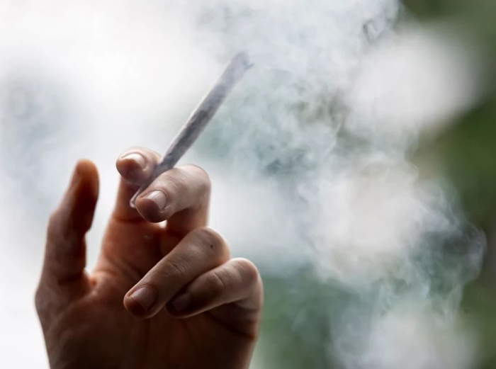 Dan odluke: Hoće li Njemačka legalizovati kanabis?