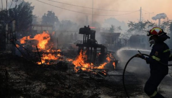 Danas je 19 evropskih zemalja “u ekstremnoj opasnosti” od šumskih požara