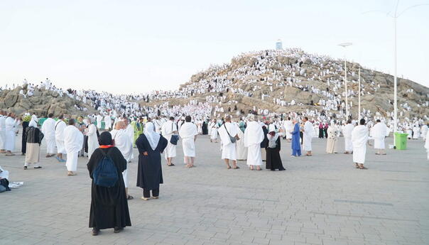 Danas je Dan Arefata