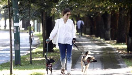 Danas je Međunarodni dan pasa