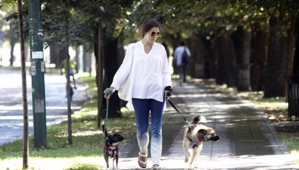 Danas je Međunarodni dan pasa