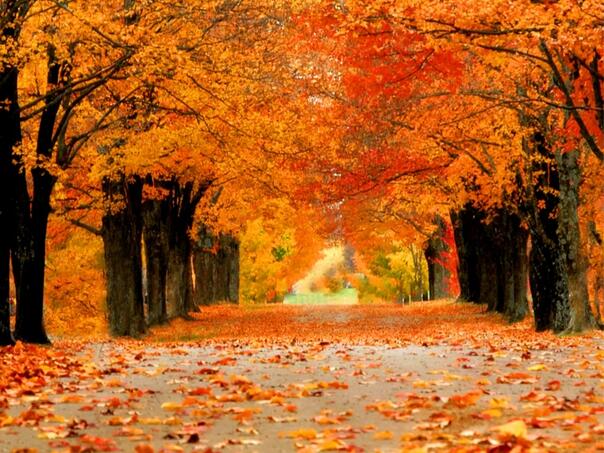 Danas je prvi dan jeseni