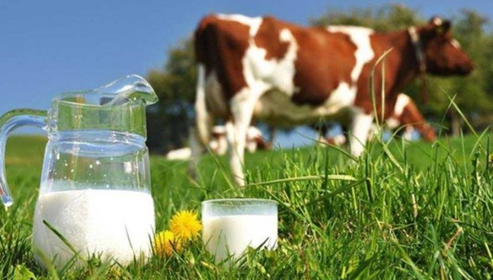 Danas je Svjetski dan mlijeka, upoznajmo njegove prednosti
