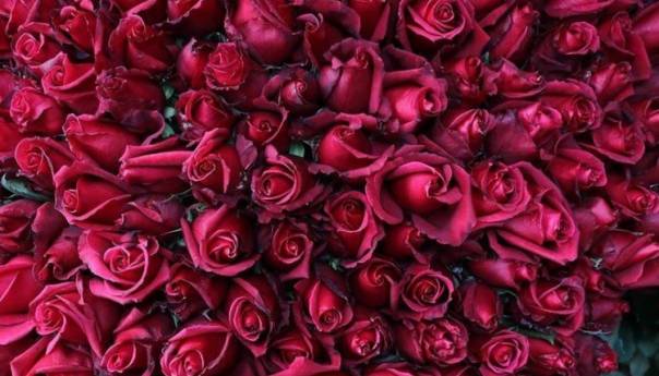 Danas je Valentinovo - Dan zaljubljenih