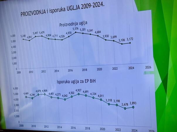 Danas odluka o poskupljenju struje: Gdje su sad eko udruženja?