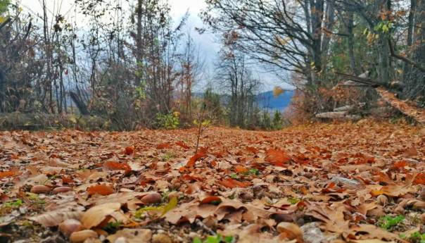 Danas preteženo oblačno sa slabom kišom