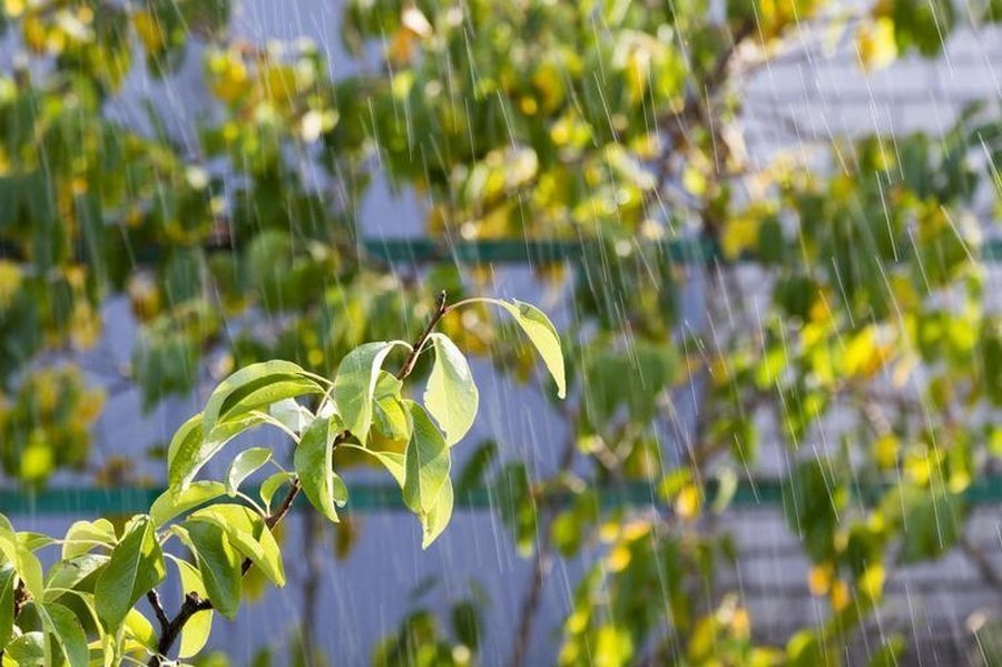 Danas pretežno oblačno i nestabilno vrijeme s pljuskovima i grmljavinom
