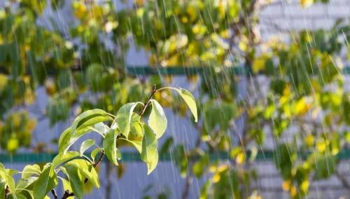 Danas pretežno oblačno i nestabilno vrijeme s pljuskovima i grmljavinom