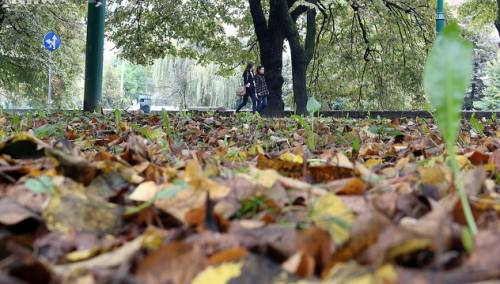 Danas pretežno oblačno, u Bosni prijepodne ponegdje slaba kiša