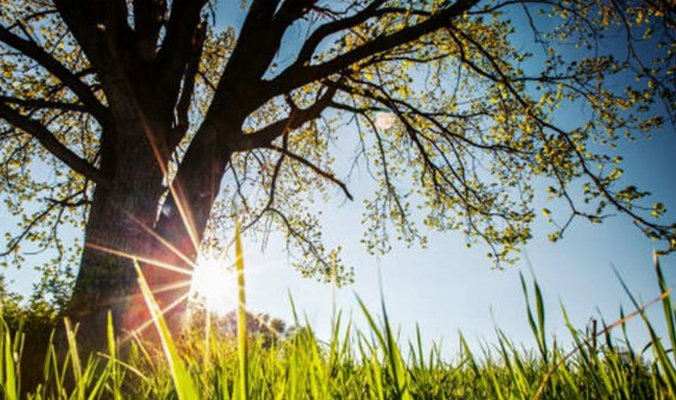 Danas pretežno sunčano, temperatura do 38 stepeni