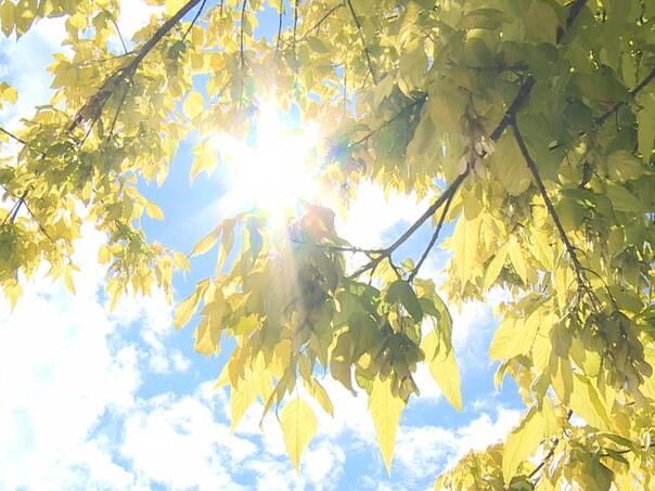 Danas pretežno sunčano, temperature počinju rasti