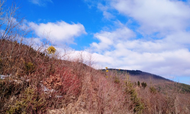 Danas prvi dan proljeća