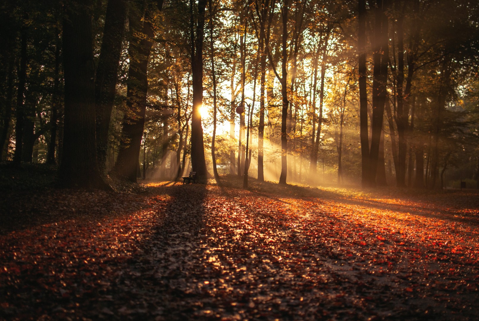 Danas stiže jesen, saznajte kakvo vrijeme nas očekuje
