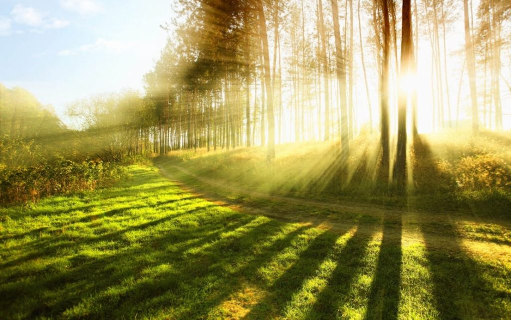 Danas sunčano, temperature do 30, na jugu zemlje i do 35 stepeni