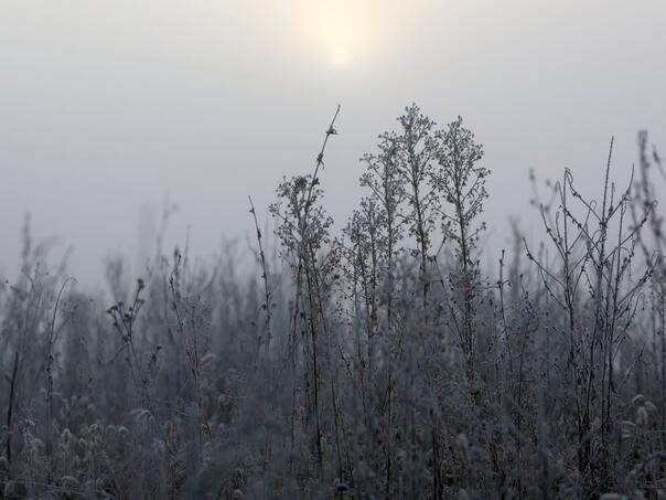 Danas u BiH hladno, u popodnevnim satima naoblačenje