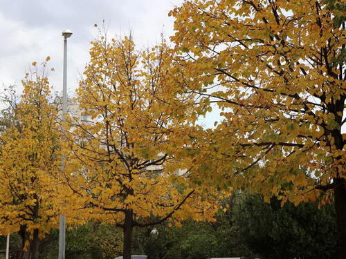 Danas u BiH pretežno oblačno, po kotlinama i uz riječne tokove moguća magla
