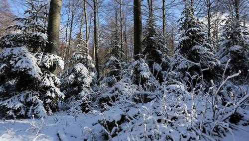 Danas u BiH pretežno oblačno vrijeme sa kišom i pljuskovima, na planinama snijeg