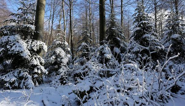 Danas u BiH pretežno oblačno vrijeme sa kišom i pljuskovima, na planinama snijeg