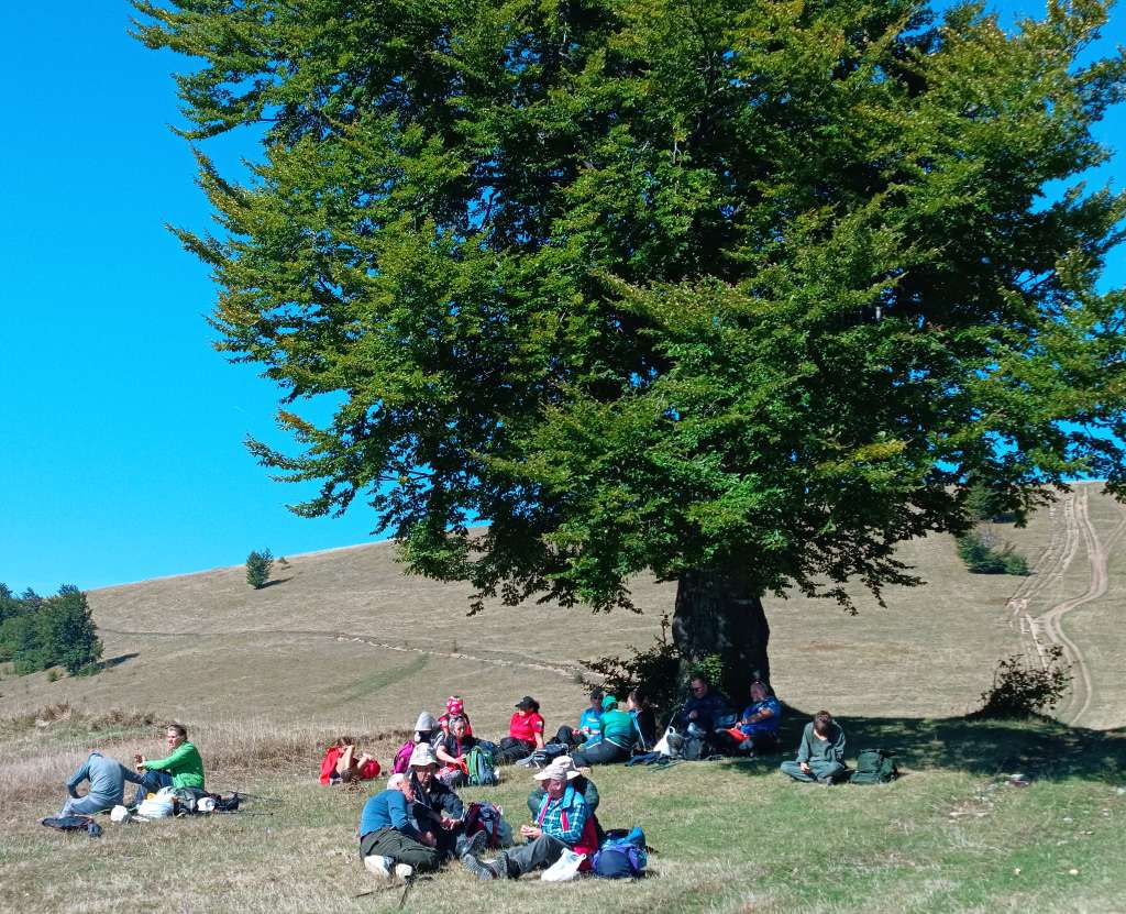 Dani planinara FBiH ovog vikenda na planini Lisac iznad Zenice