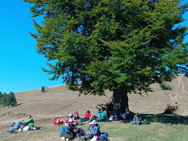 Dani planinara FBiH ovog vikenda na planini Lisac iznad Zenice