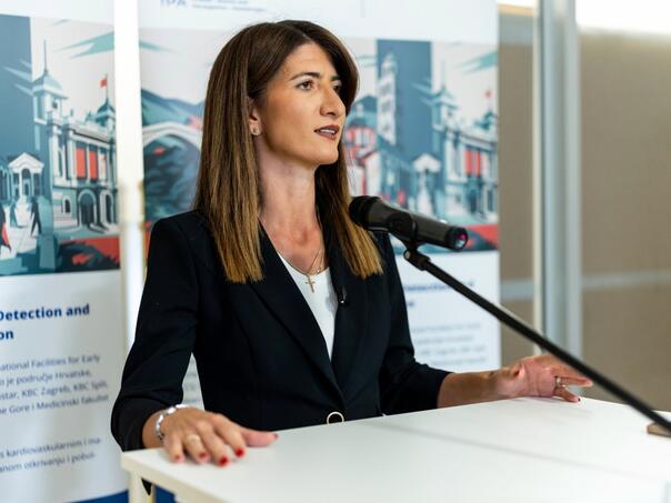 Darijana Filipović najavila smjenu dosadašnjih ambasadora BiH