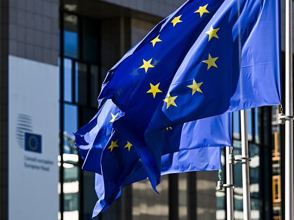 Decembar krajnji rok: BiH gubi 373,9 miliona eura?