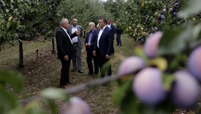 Dedić obišao plantažu šljiva i farmu 'Agro Mašić' u Gradačcu
