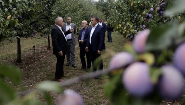 Dedić obišao plantažu šljiva i farmu 'Agro Mašić' u Gradačcu