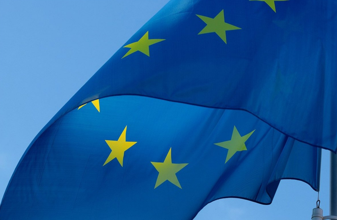 Delegacija EU: Napadi na novinare izuzetno zabrinjavajući