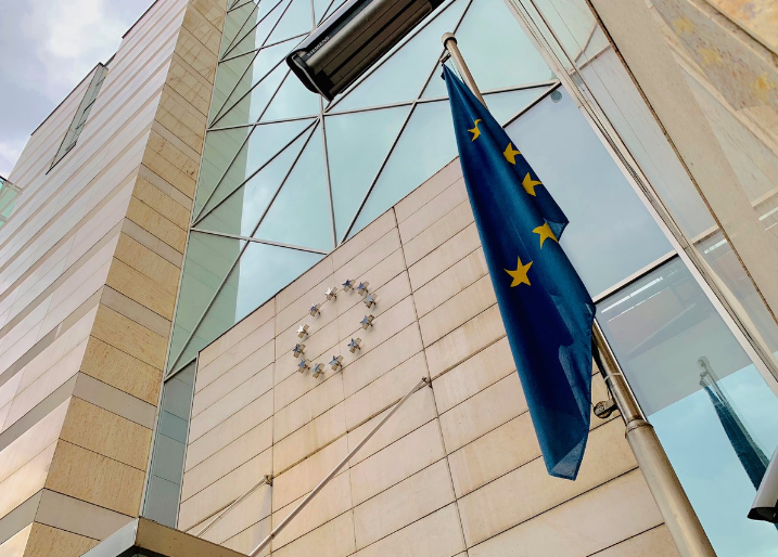 Delegacija EU pozdravila usvajanje evropskih zakona