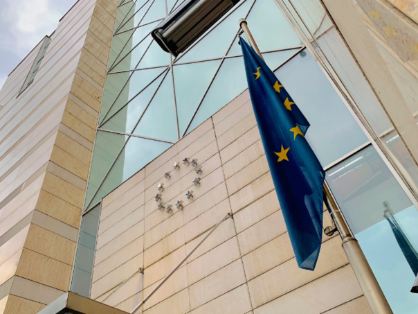 Delegacija EU pozdravila usvajanje evropskih zakona