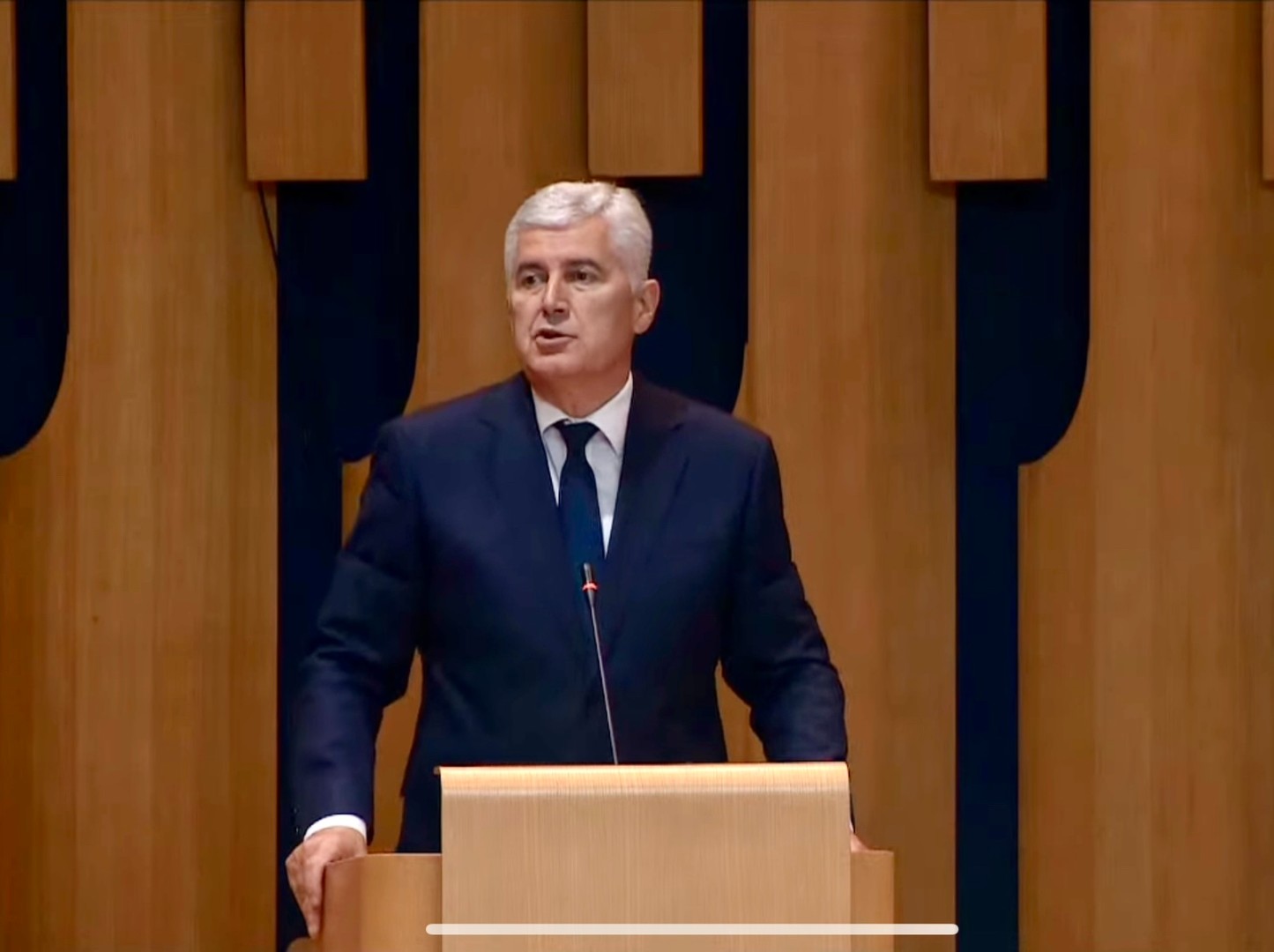 Delegati nadmudrili Čovića: HDZ u šoku, pao Čavarin zakon