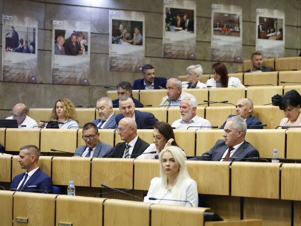 Delegati prepoznali važnost osiguranja prava porodiljama na pratnju tokom poroda