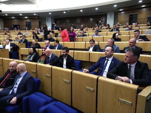 Delegatska rasprava u Domu naroda o Južnoj interkonekciji